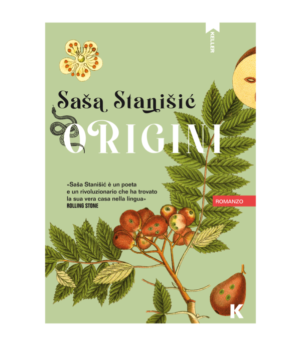 ORIGINI, Saša Stanišić